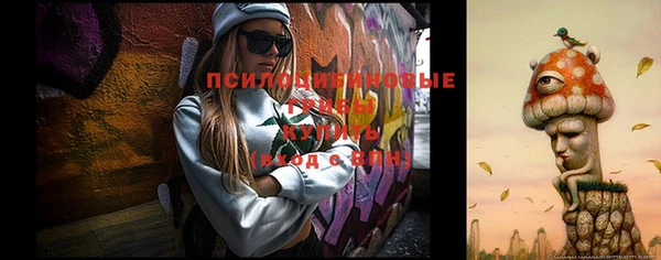 ешки Заволжск