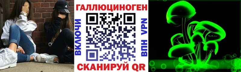 Псилоцибиновые грибы Psilocybine cubensis  Купить закладки  Знаменск 